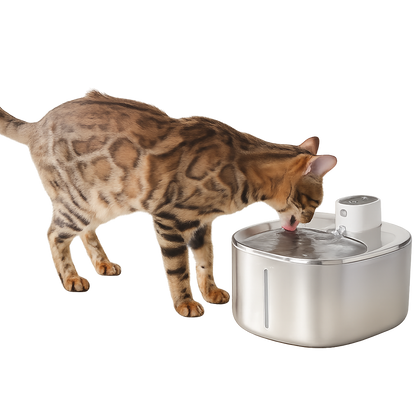 Fuente de Agua Inalámbrica 4L para Mascotas